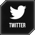 A button with the Twitter logo that provides a link to CFB's Twitter profile.